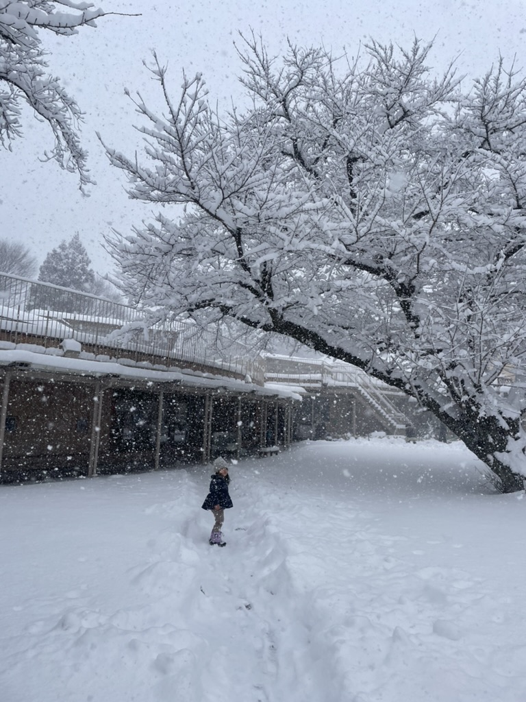 久々の大雪。