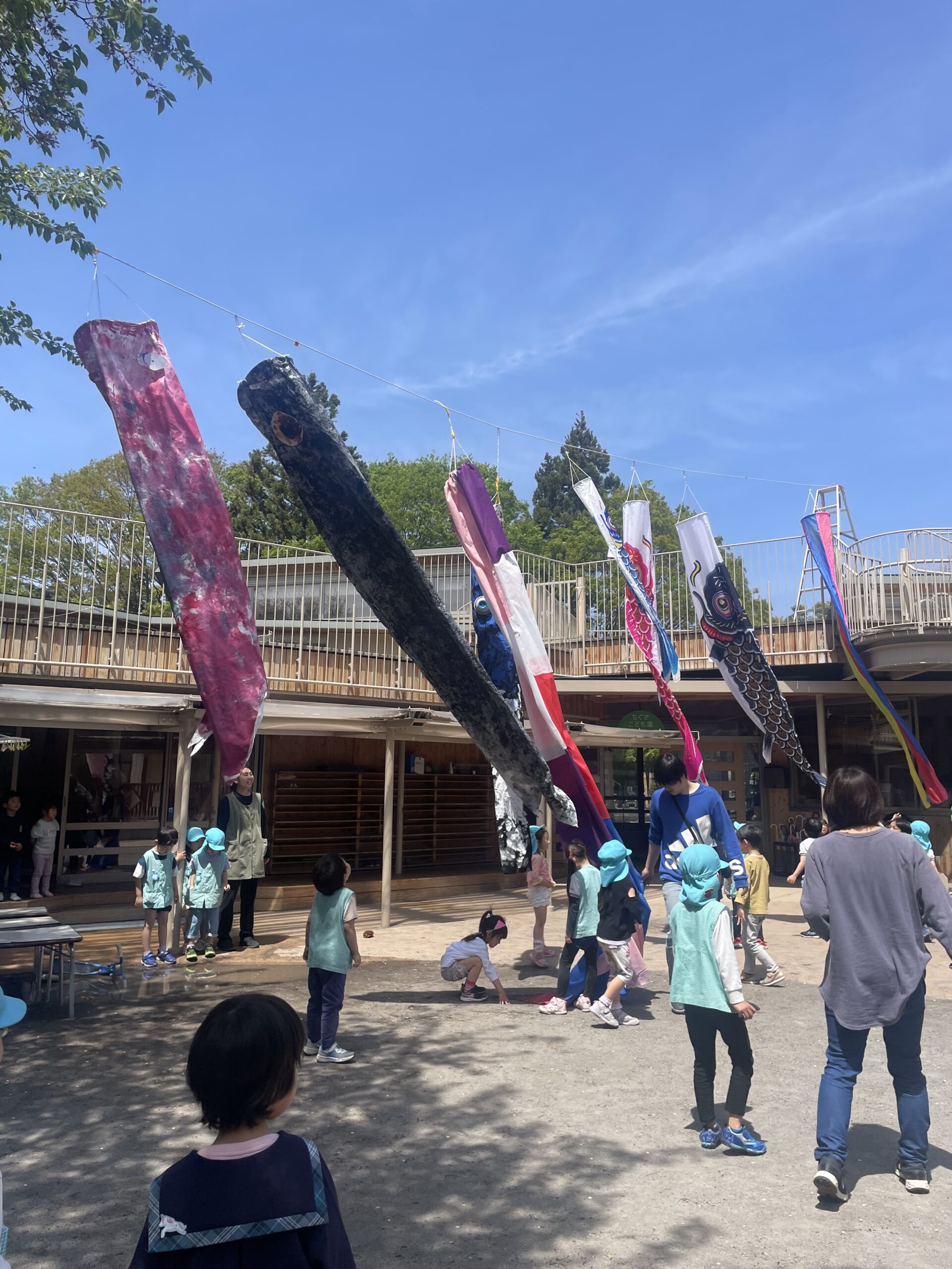 鯉のぼり。